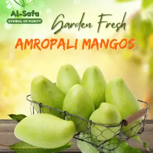 Garden Fresh Amrapali Mangoes (Premium)