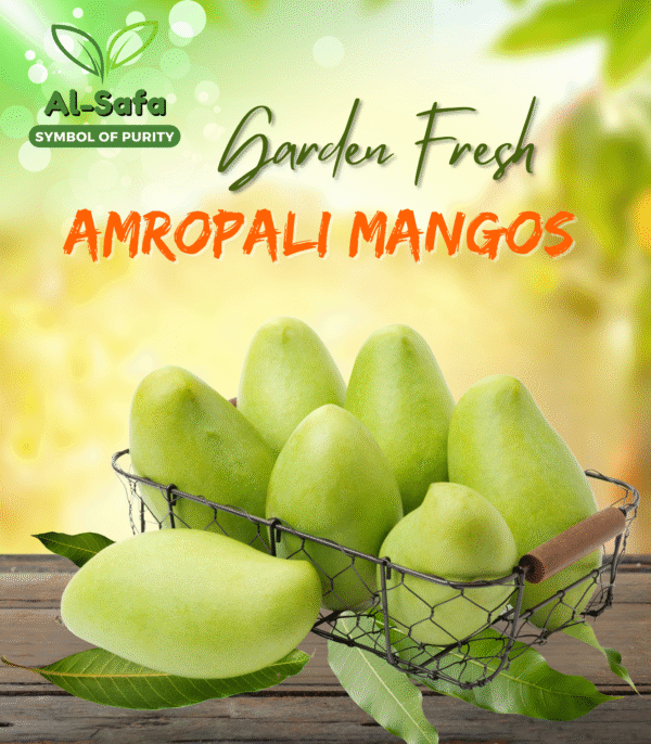 Garden Fresh Amrapali Mangoes (Premium)