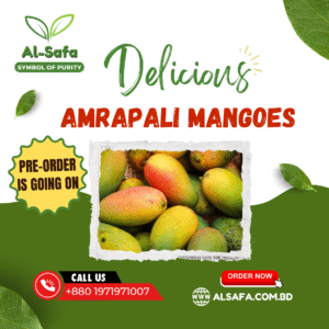 Garden Fresh Amrapali Mangoes- 10 kg (Pre Book)