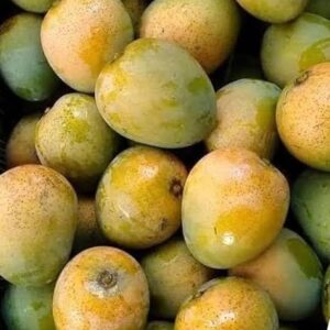 Garden Fresh Himsagar Mango- 10KG (Regular Size)